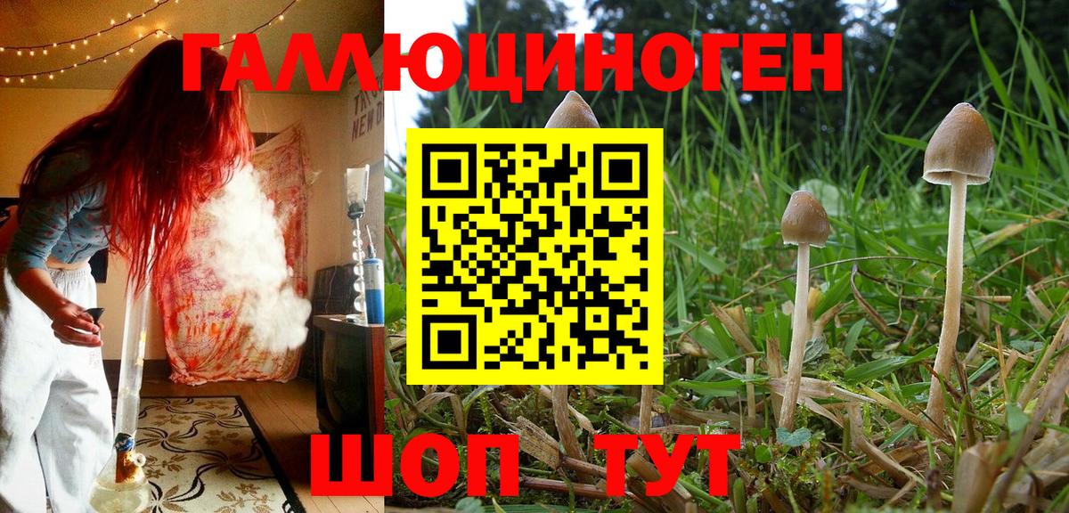 Псилоцибиновые грибы ЛСД Нефтекумск