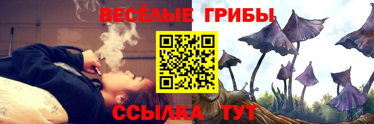Нефтекумск  Псилоцибиновые грибы Psilocybe  Вход с VPN 